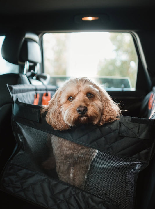 Pet Car Seat Protector — Non-Slip & Waterproof